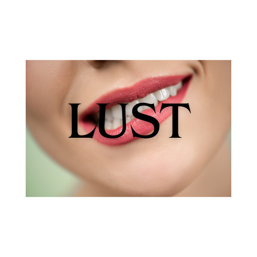 Lust Inspired by VS candy Tease Noir Women