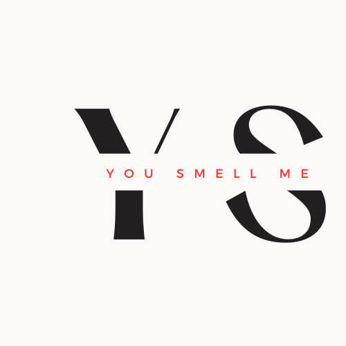 Smell Me 2 It's inspired by Dolce Gabbana light blue Men