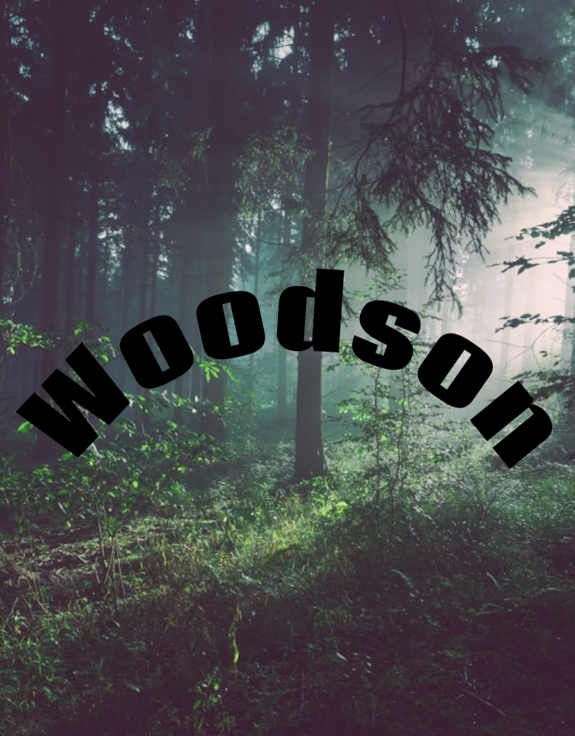 Woodson Inspired tom ford oud wood